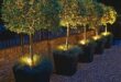 small garden lighting ideas