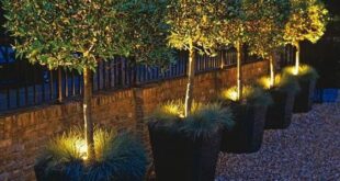 small garden lighting ideas