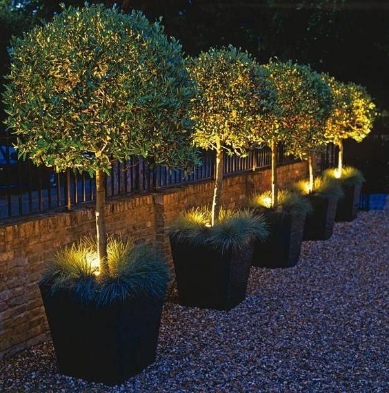 Creative Lighting Solutions for Cozy Gardens