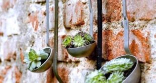 outdoor garden ideas