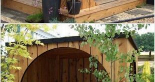 cool backyard ideas