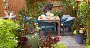 garden patio ideas