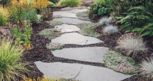 landscaping pathway ideas