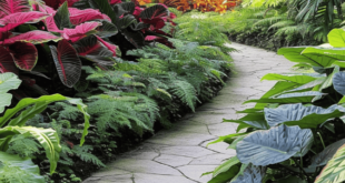 landscaping pathway ideas