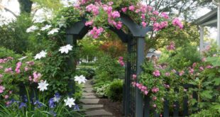 landscaping pathway ideas