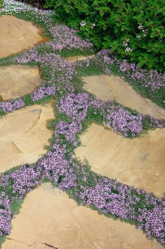 Creative Pathways: Enhancing Your Garden with Stepping Stones