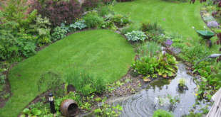 small garden ponds ideas