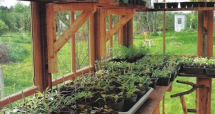 small garden greenhouse ideas