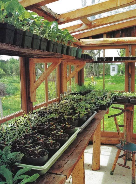 small garden greenhouse ideas