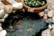 small garden ponds ideas