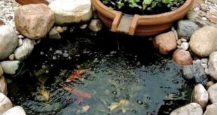 small garden ponds ideas