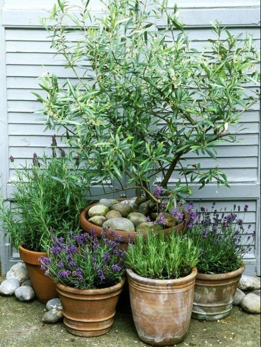 Creative Solutions for Compact Outdoor Spaces: Inspiring Backyard Garden Ideas