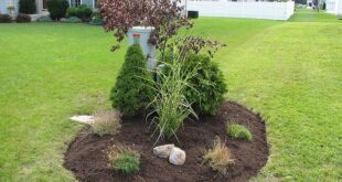 landscaping to hide utility boxes