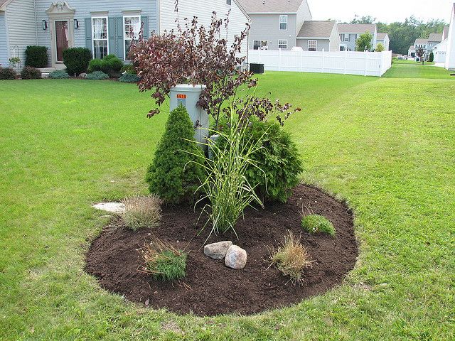 landscaping to hide utility boxes