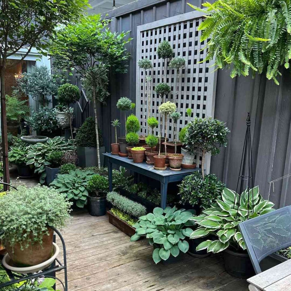 small garden space ideas