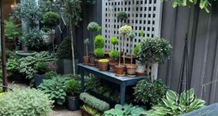 small garden space ideas