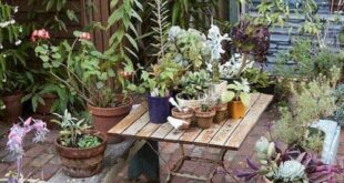 garden ideas for small spaces