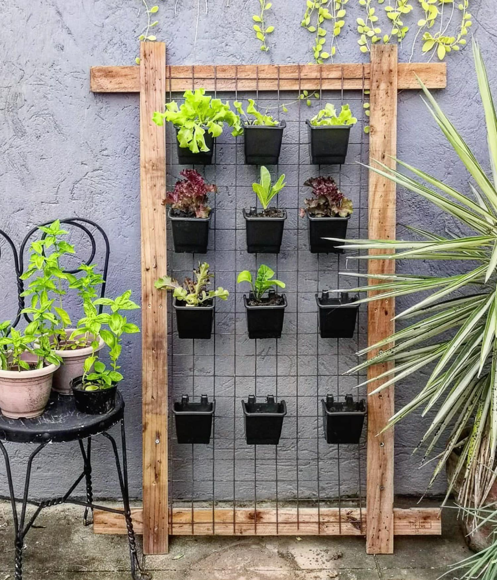 Creative Solutions for Maximizing Garden Space