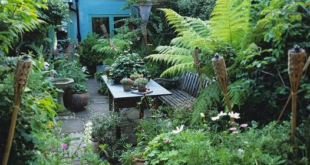 small garden space ideas