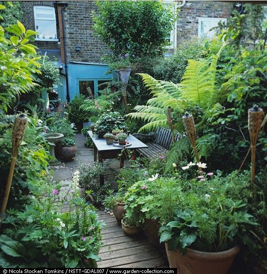 Creative Solutions for Maximizing Your Garden Space