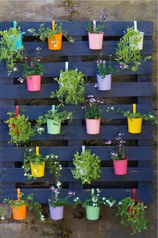 Creative Solutions for a Beautiful Backyard Garden