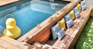 swim spa deck ideas