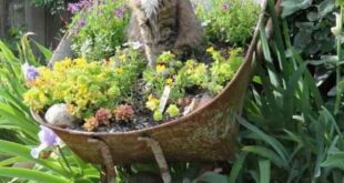 garden planter ideas