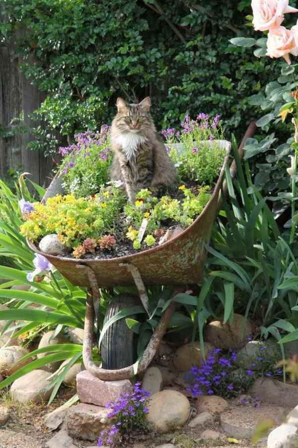 Creative Ways to Arrange Plants in Your Garden Pot