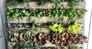 garden wall ideas