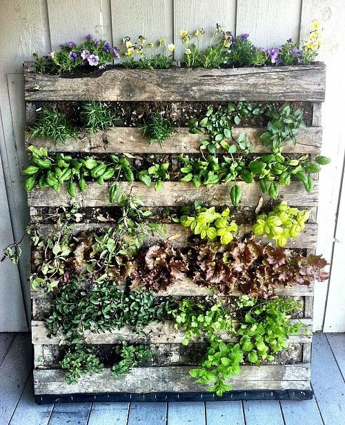 Creative Ways to Beautify Your Garden with Walls