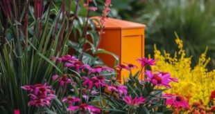 landscaping to hide utility boxes