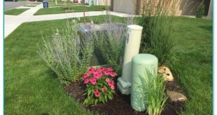 landscaping to hide utility boxes