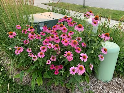 Creative Ways to Conceal Utility Boxes in Your Landscape Design