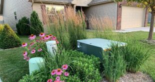 landscaping to hide utility boxes