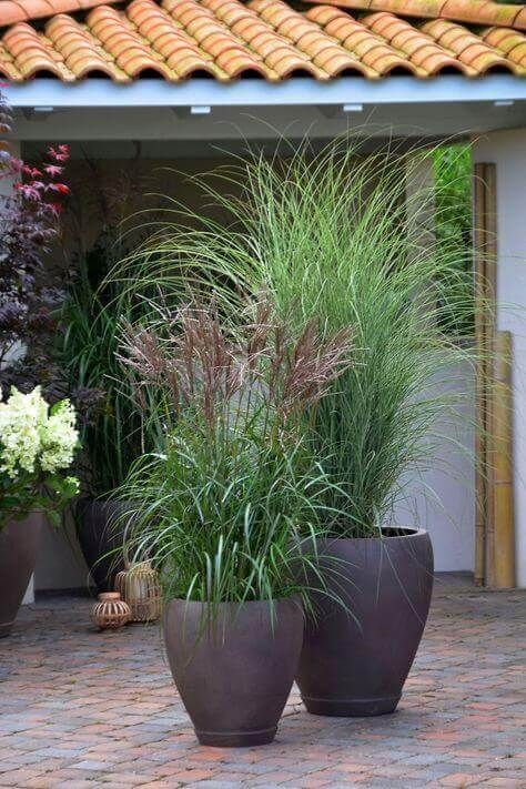 garden planter ideas