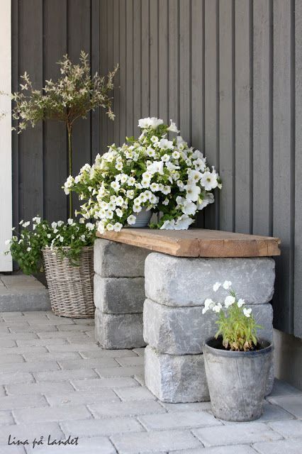 Creative Ways to Decorate Your Patio with Garden Plants