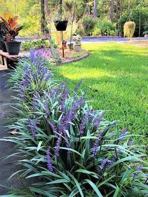 Creative Ways to Define Your Yard with Border Landscaping