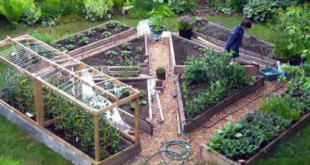 raised garden bed ideas