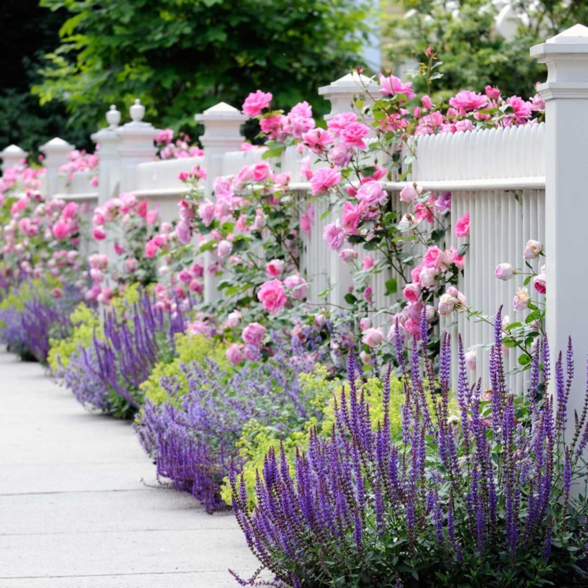 Creative Ways to Design Your Flower Bed