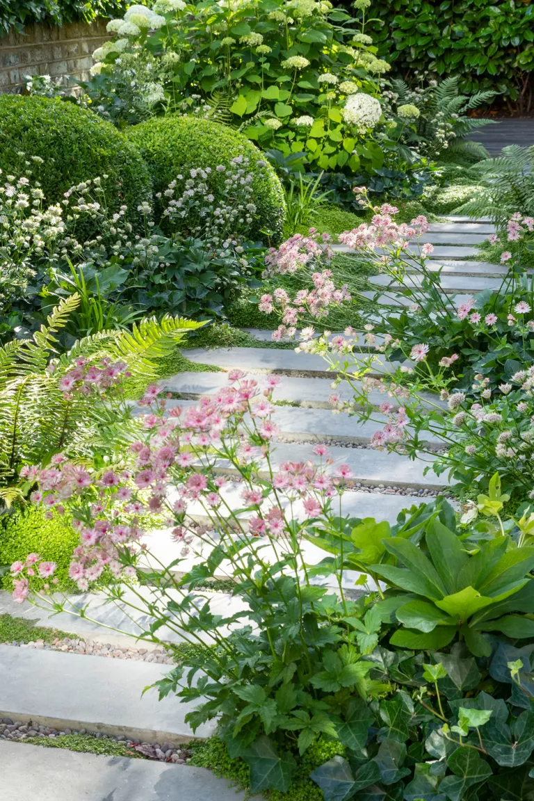 Creative Ways to Design Your Small Garden Landscape