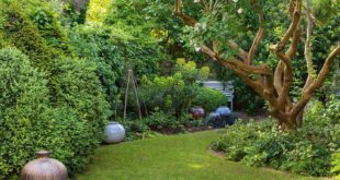 small garden design ideas