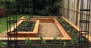 backyard vegetable garden ideas