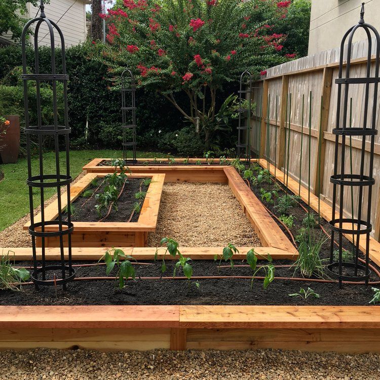 Creative Ways to Design Your Vegetable Garden in the Backyard