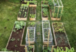 backyard vegetable garden ideas