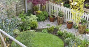 small garden ideas on a budget