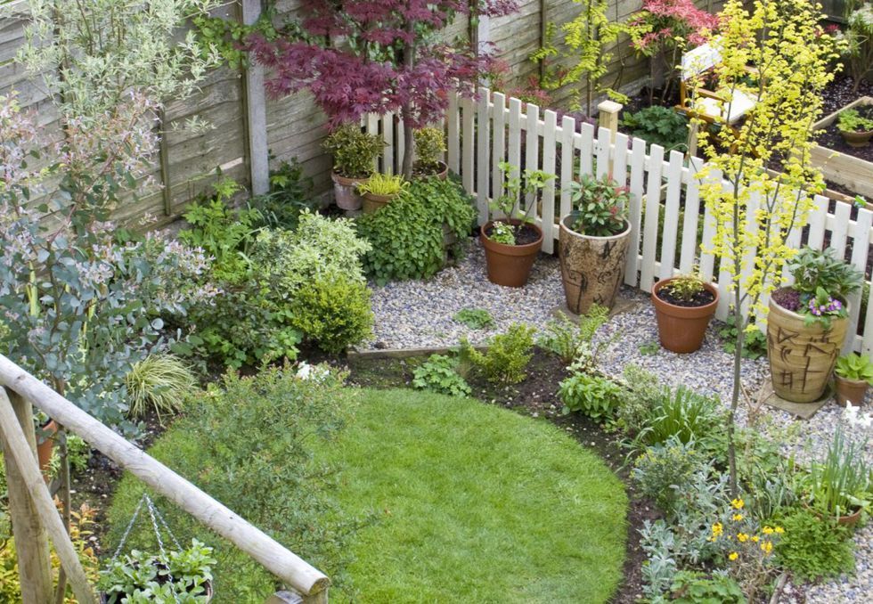 Creative Ways to Design a Beautiful Garden on a Tight Budget