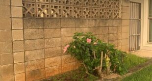 cinder block fence ideas