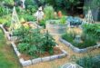 backyard vegetable garden ideas