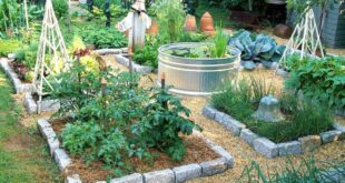 backyard vegetable garden ideas