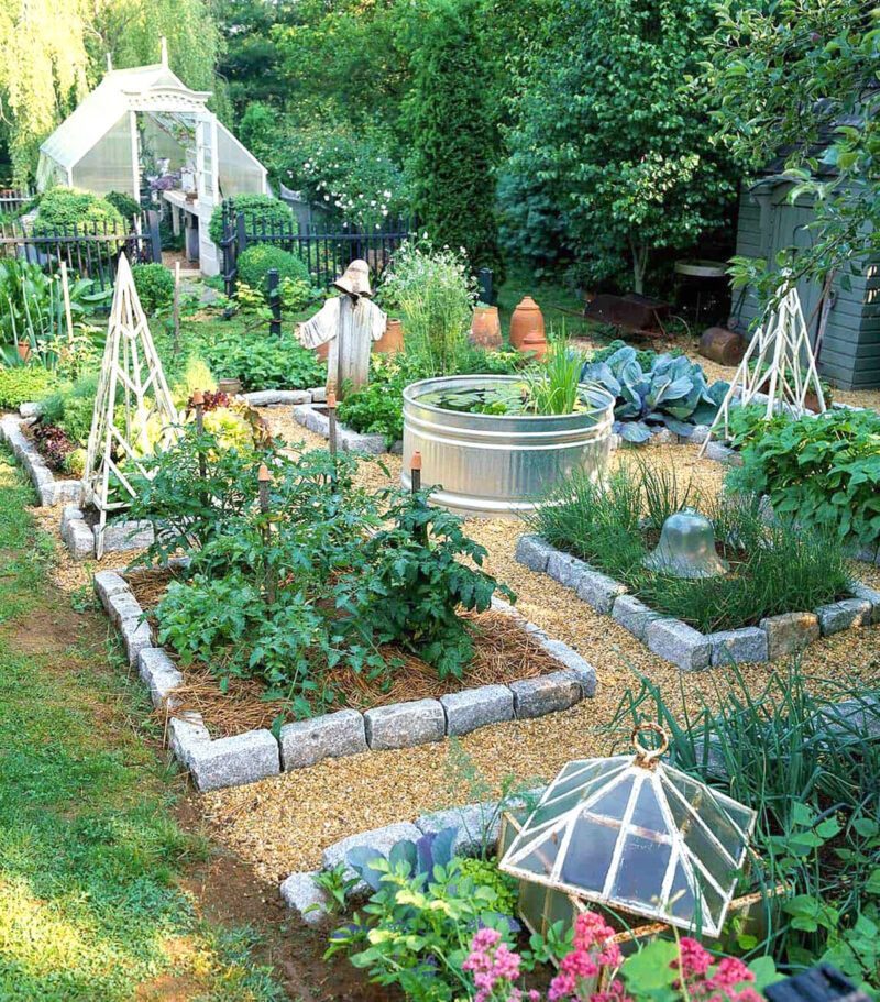 Creative Ways to Design a Lush Vegetable Garden in Your Backyard